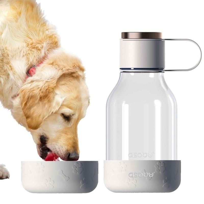 Dog Bowl Bottle